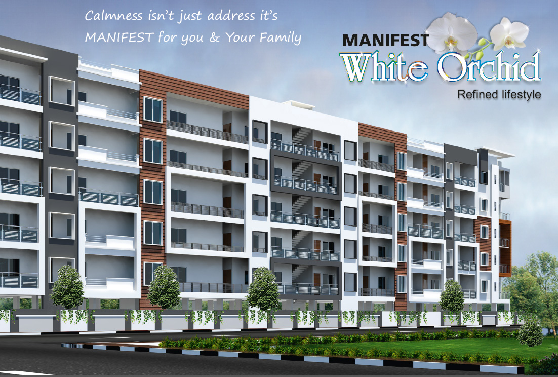 mannifest white orchid