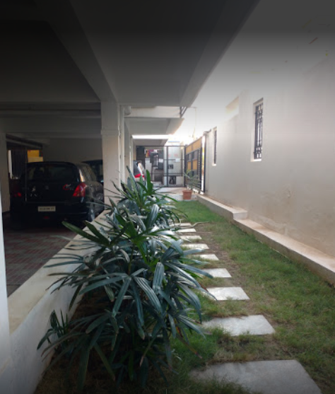 mannifest silver ark